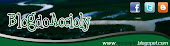 Blog do Acioly 2011