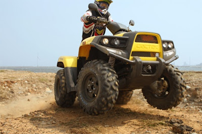 2011 Cectek 500 Efi Gladiator