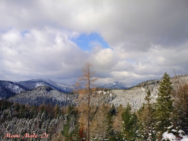 Waldspaziergang - A Walk in the Woods