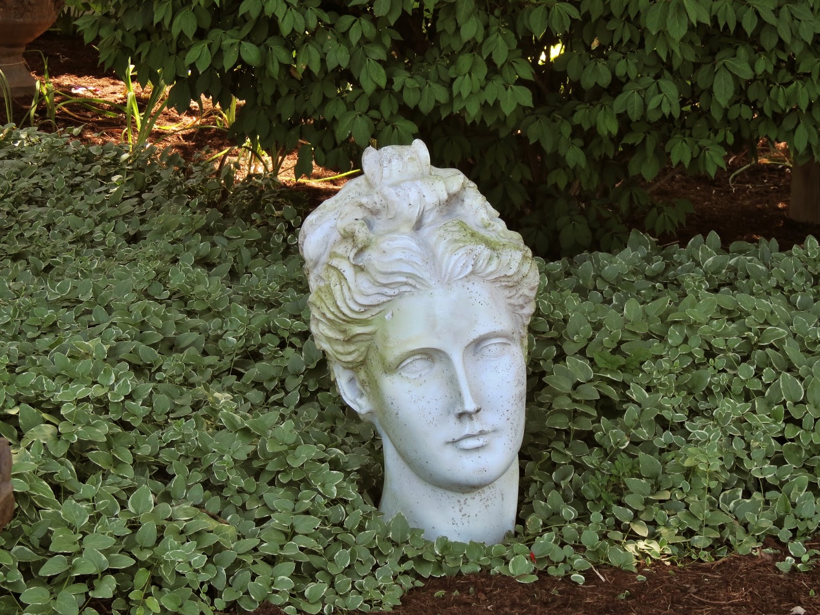 The Watering Can Head in Garden
