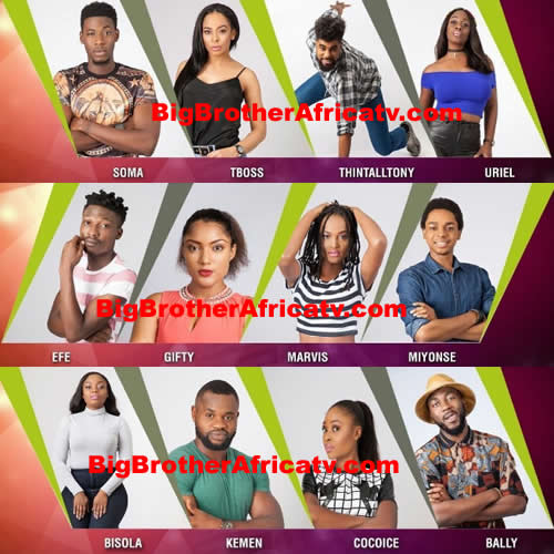 Big Brother Africa 2019 | Season 10 Housemates, News ...