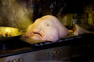 Ikan Yang Tinggal Di Laut Terdalam Come And Listen