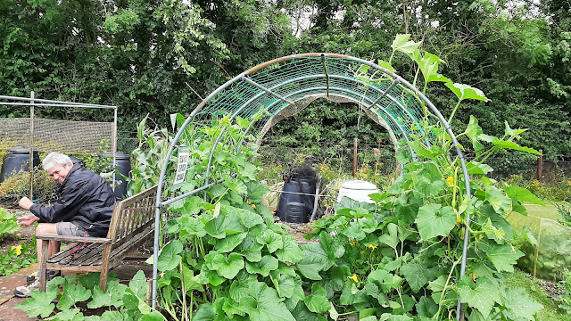 Squash tunnel