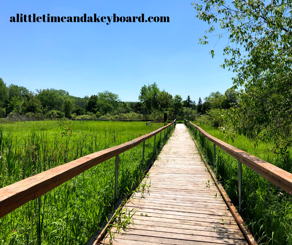 A Little Time and a Keyboard Reveling in Nature Hiking Kishwauketoe Trail in Williams Bay