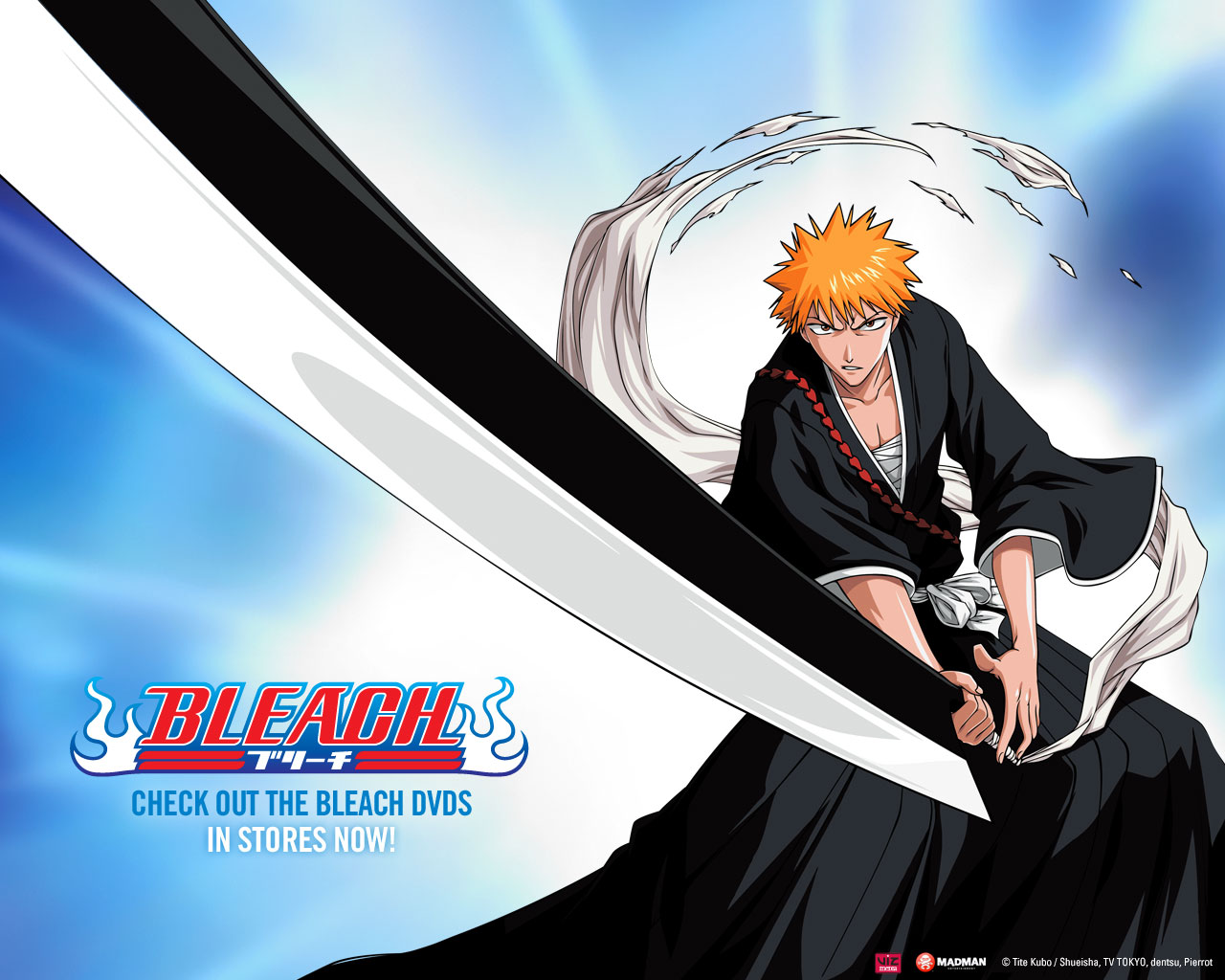 Anime Japan: Bleach Anime Japan: Bleach