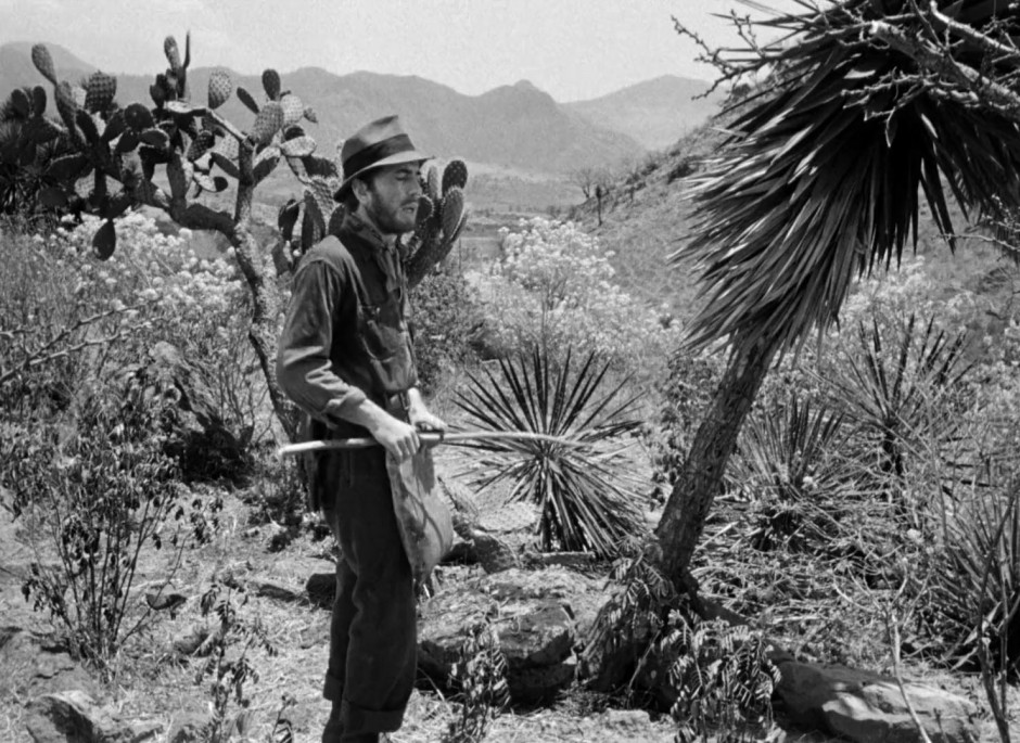 O TESOURO DE SIERRA MADRE (DUAL ÁUDIO/1080P) – 1948 FormatFactoryO%2BTesouro%2BDe%2BSierra%2BMadre%2B1948%2Bdual.mkv_snapshot_00.26.17.000