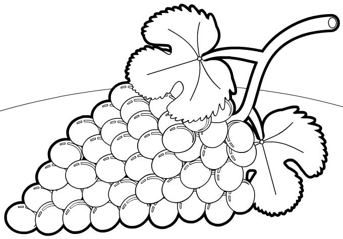 Dibujo para colorear de una uva - Imagui