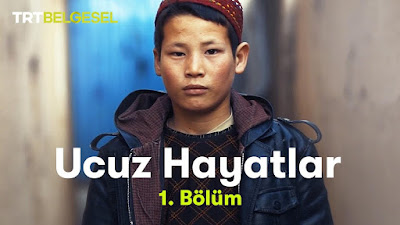 ucuz  hayatlar belgesel