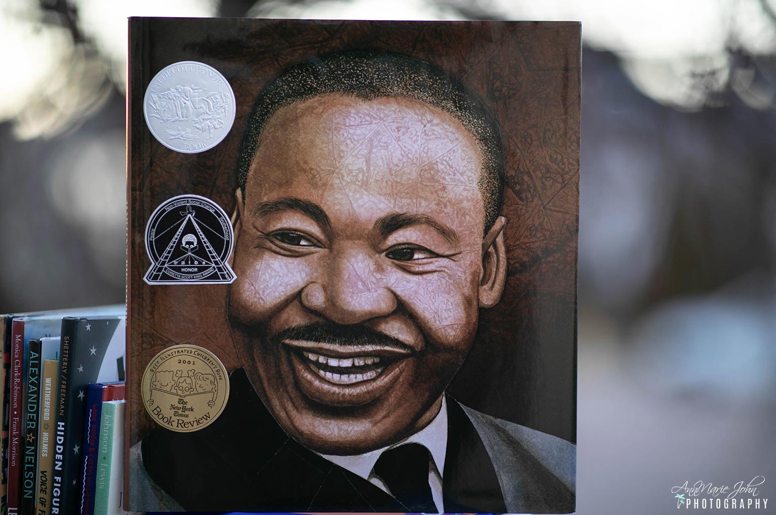 Martin's Big Words: The Life of Dr. Martin Luther King