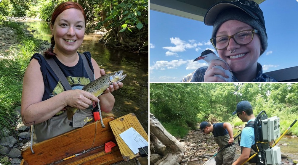 PA Environment Digest Blog: Reminder: Wildlife For Everyone Accepting
