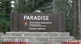 Paradise Mount Rainier National Park