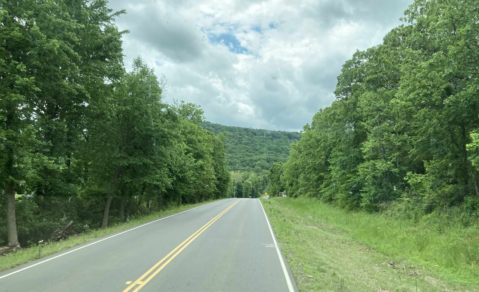 Wandering His Wonders Everything's green in Greenleaf State Park