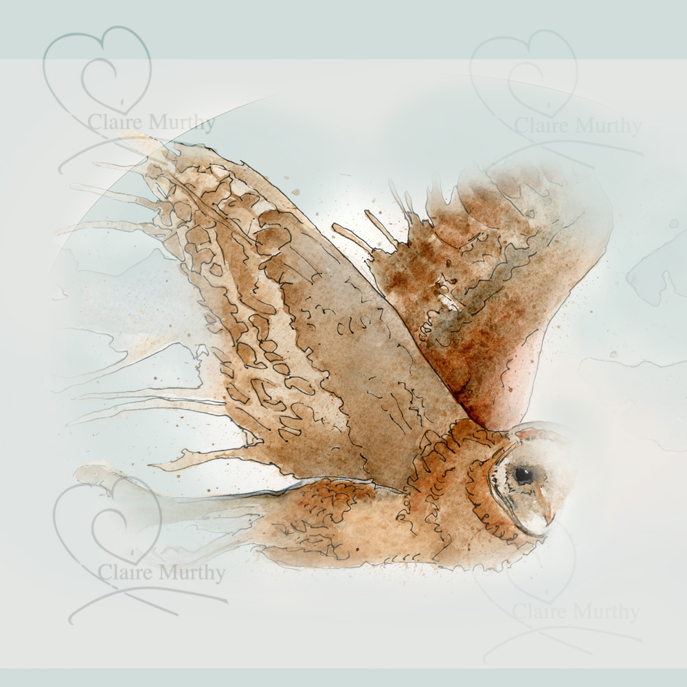 Premium Vector  A sticker of a barn owl with the words barn owl on it