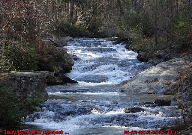 Panther Creek  Georgia