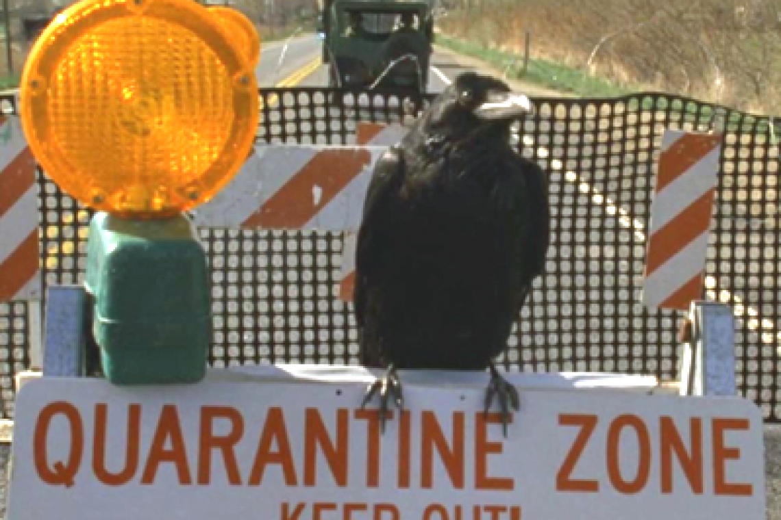 Seemorerocks Quarantine in Westchester County, New York