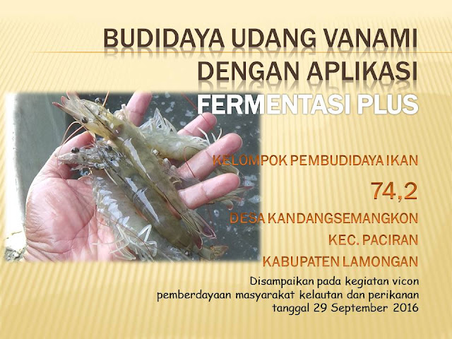 aplikasi manajemen budidaya udang