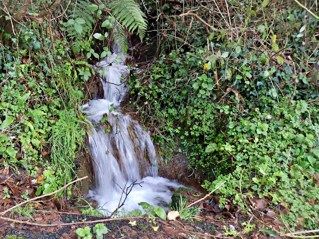 Running water from fields in Cornwall after heavy rain