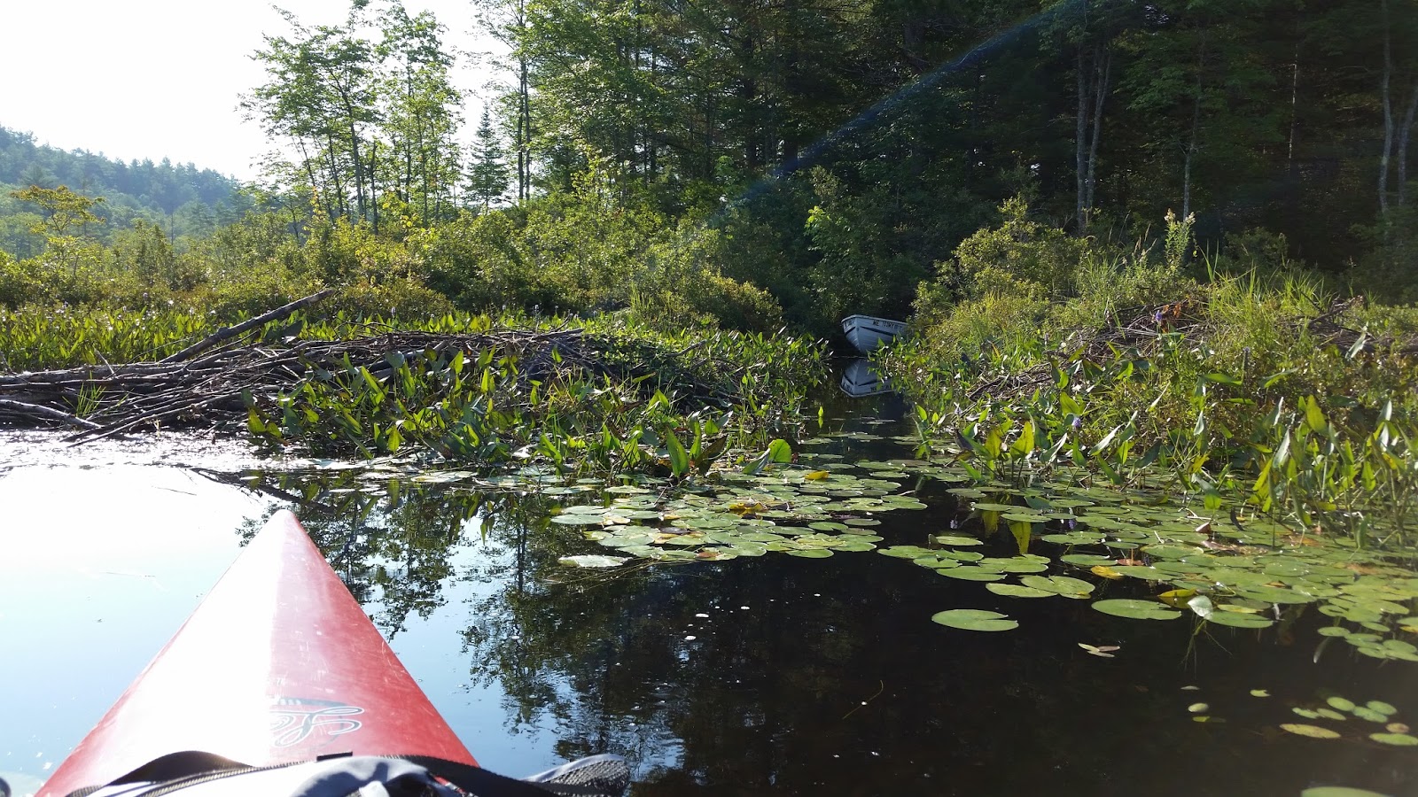 Recreational Kayaking in Maine Peabody Pond, Sebago/Bridgton, Maine
