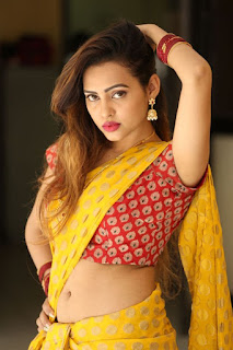 Geetha Shah  Looks In Saree 14