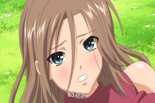 dai anime: [Dai-Anime] Menkui! (DVD 720x480 x264 AAC SUB ESP) MKV Softsubs