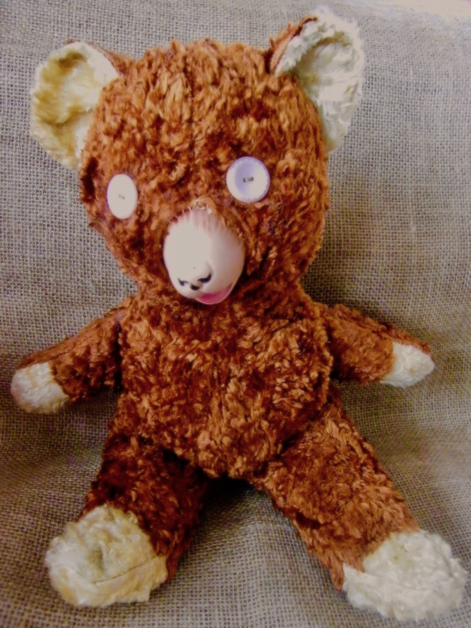 button eyed teddy bear