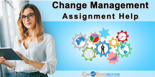 change management individual assignment