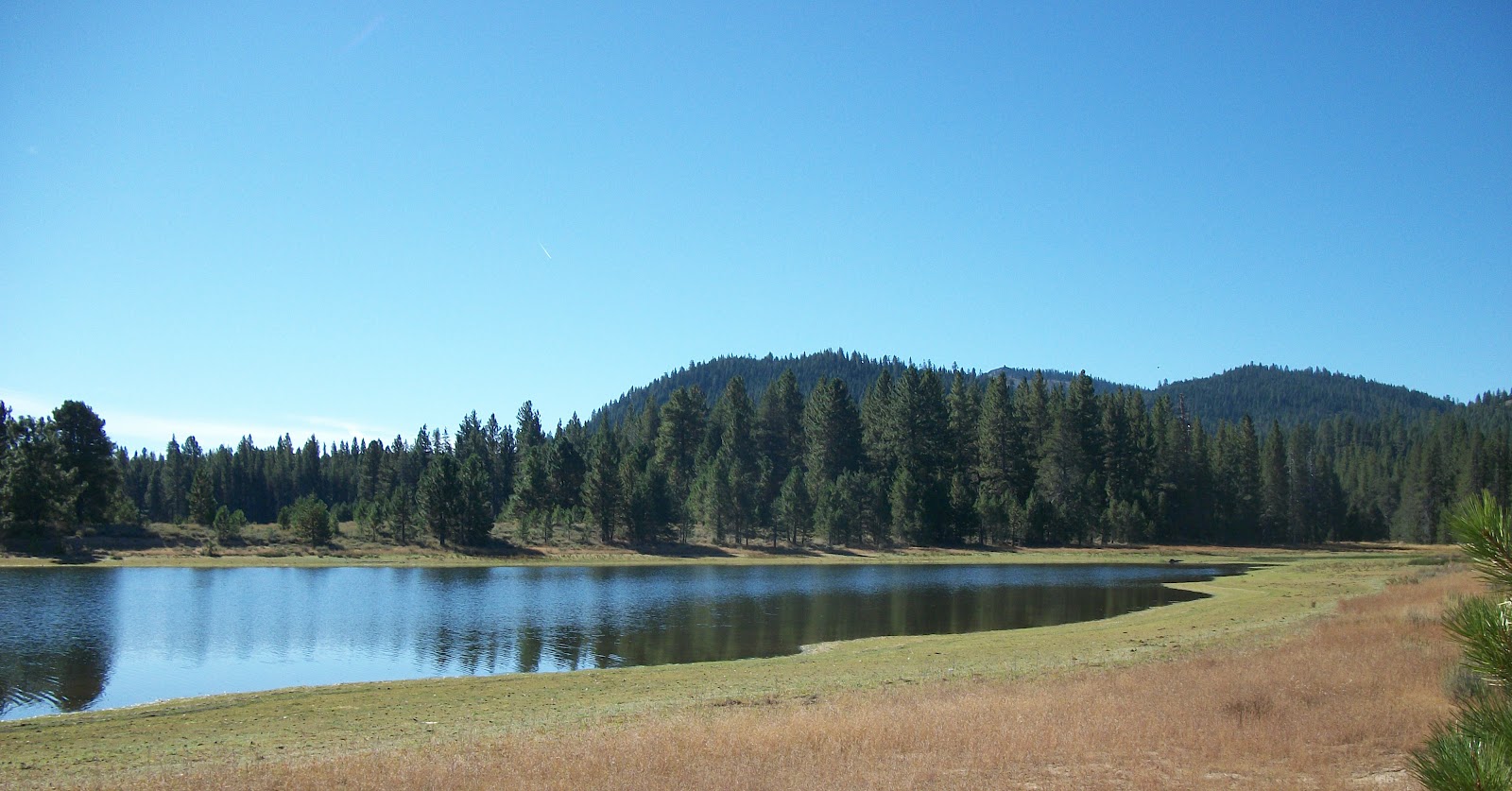 Jon Baiocchi Fly Fishing News Coming Home; The 1st Lake Davis Fall