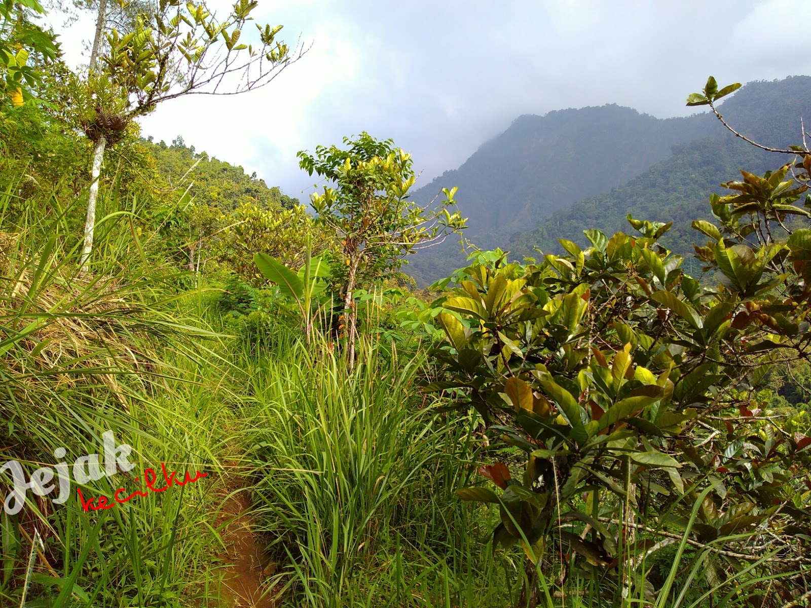 Jejak Kecilku: Air Terjun Sanggar Jombang