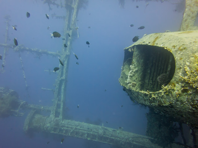 Aqaba Scuba Diving 27