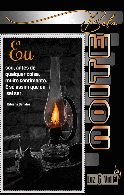 NOVO92-%2528MB%2529maryluz.gif