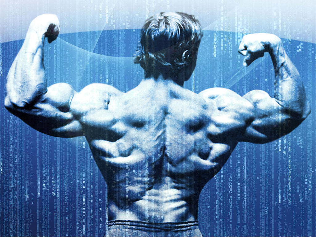 Bodybuilding Wallpaper Arnold Conquer