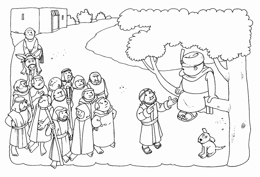 zaqueo coloring pages - photo #3