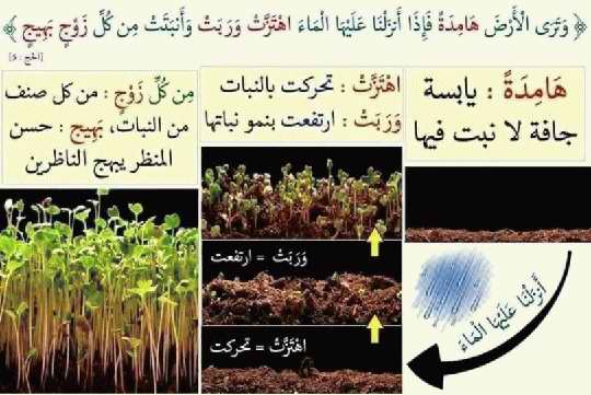 صور لفهم بعض آيات القرآن الكريم