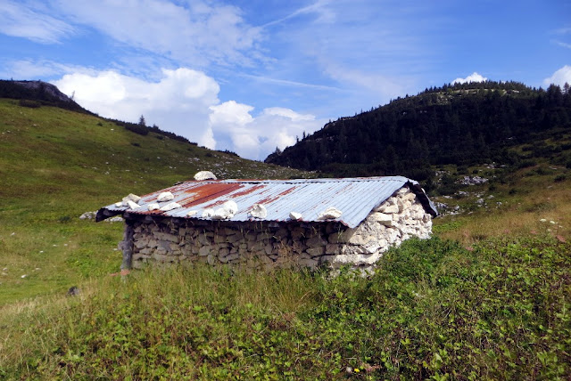 monte ortigara altopiano di asiago