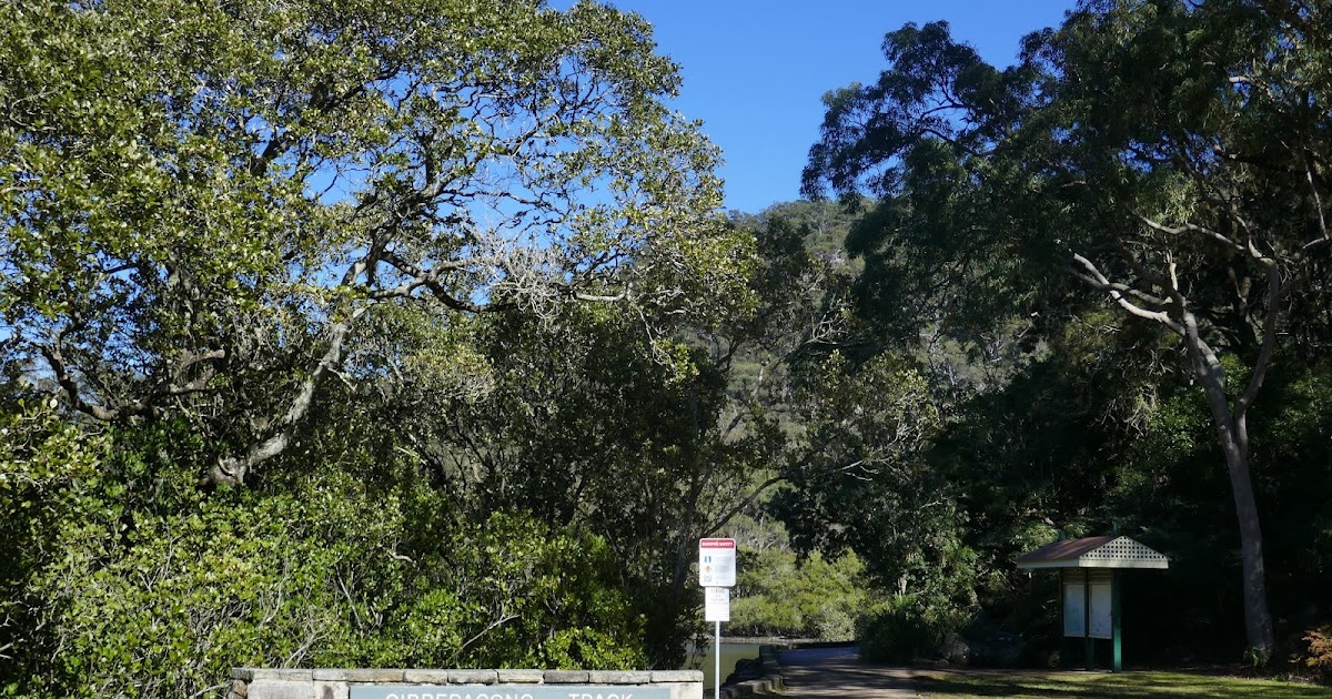 All The Gear But No Idea Cockle Creek & Cowan Water The Gibberagong