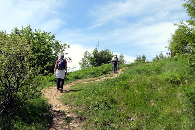 bivacco dei loff da passo san boldo