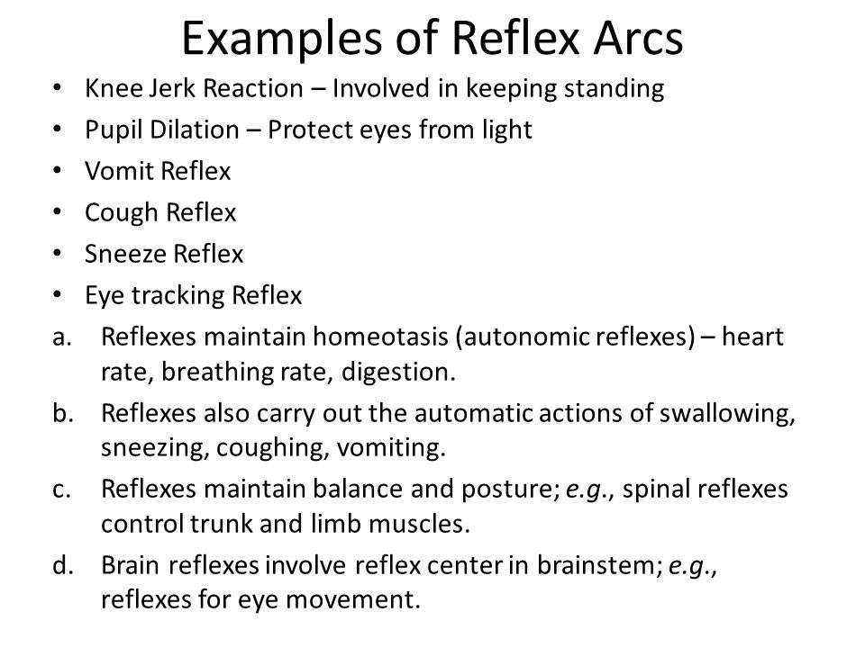 Control and Coordination Blog 2