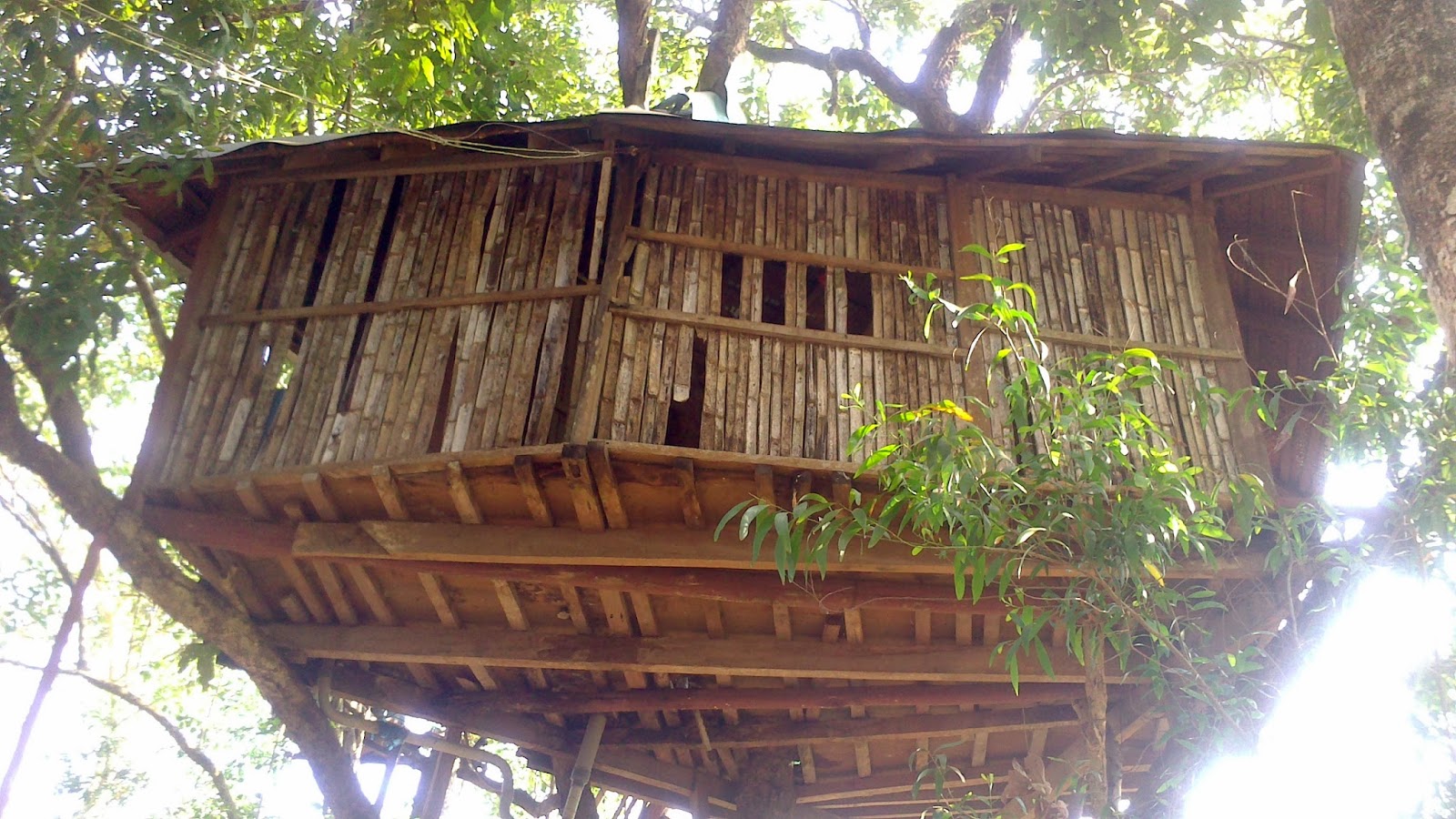 Dandeli Jungle Camp Stay In The Wild Enidhi India Travel Blog