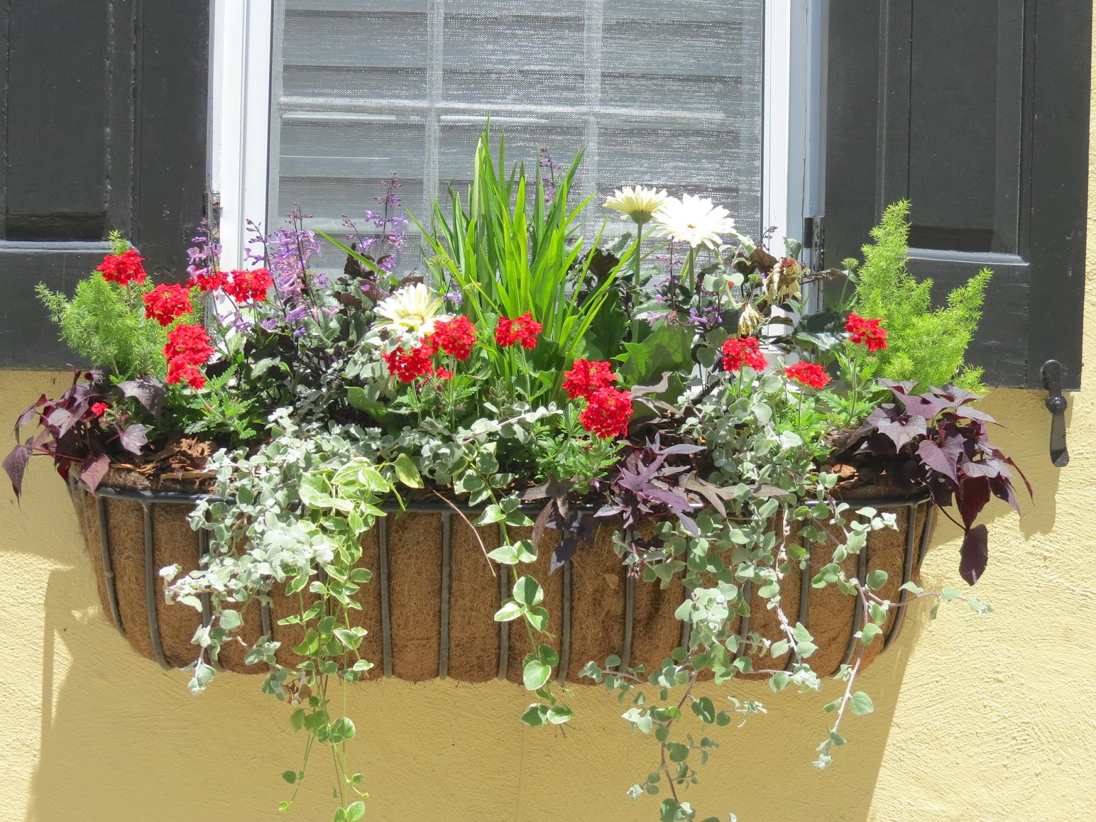 JLL DESIGN Window Box Ideas & More Garden Inspirations
