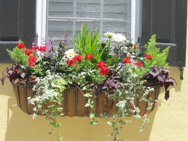 JLL DESIGN: Window Box Ideas & More Garden Inspirations