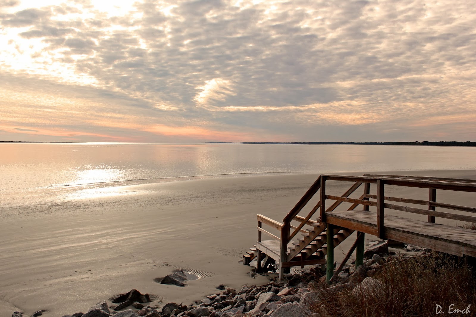 Capture America Journal Tuesday 1/7/14 seabrook ice dolphin