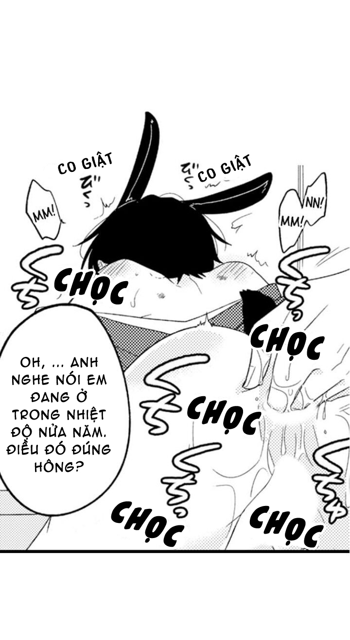 Đọc truyện Ai Muốn Được Yêu Thương Nào - Chapter 3