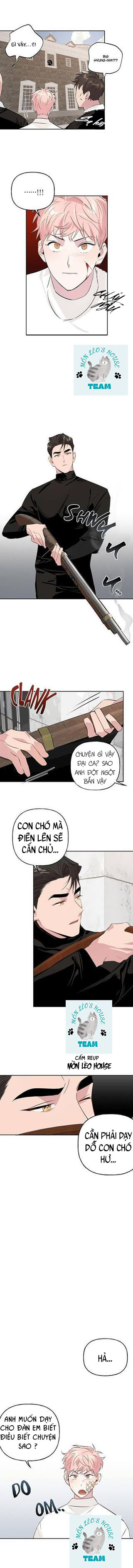 Đọc truyện Assorted Wildness - Chapter 8