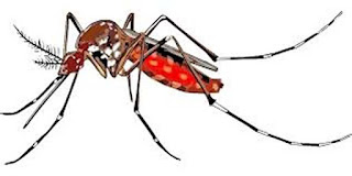 प्रेरक कहानी : मच्छर की बेवकूफी | Moral Stories in Hindi | Apeksha mazumdar