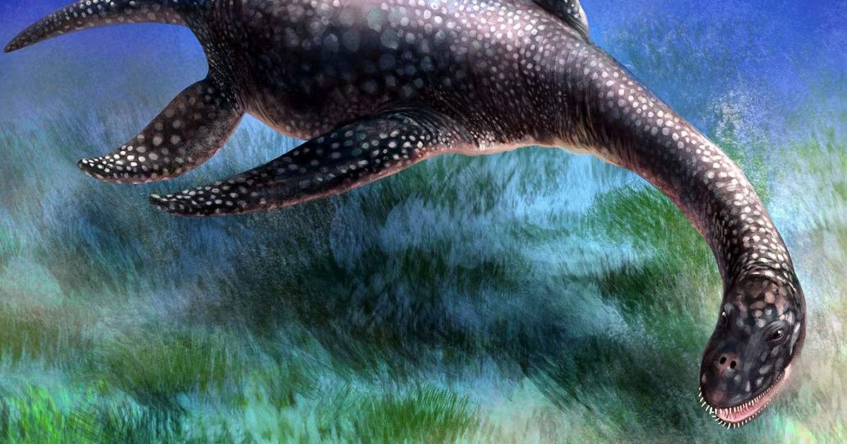 Fossil of a 15 Ton Sea Creature Found in Antarctica