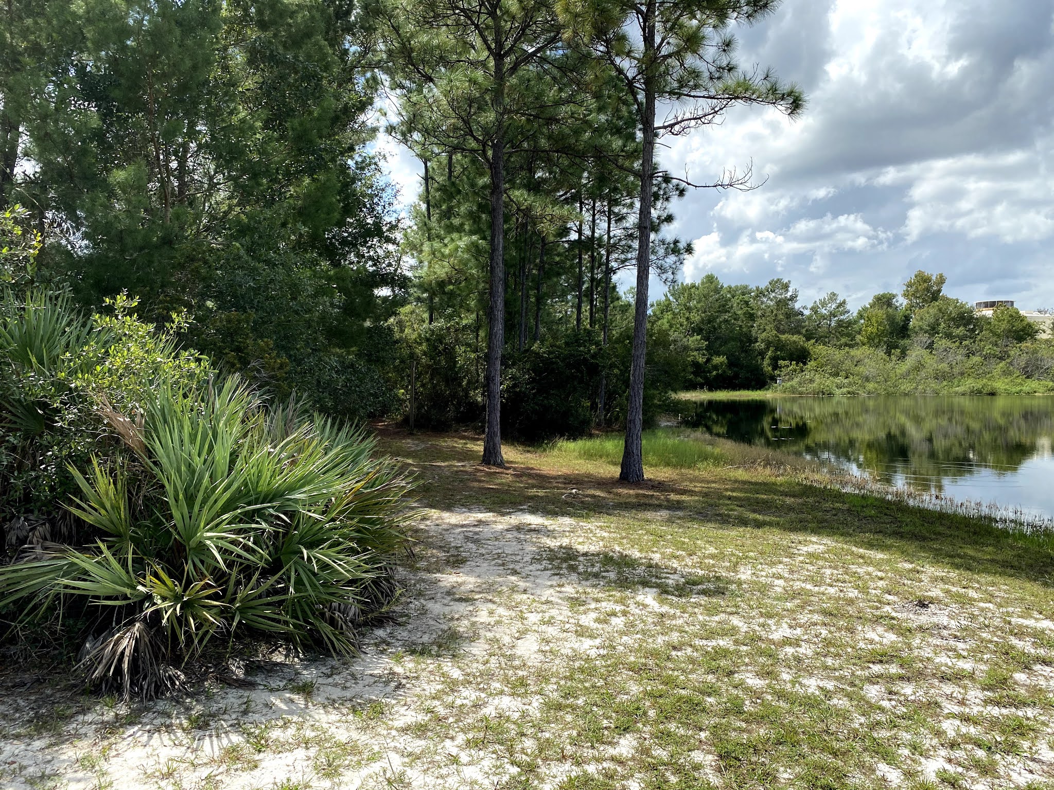 Shadow Bay Park Orlando Florida Travel Ideas