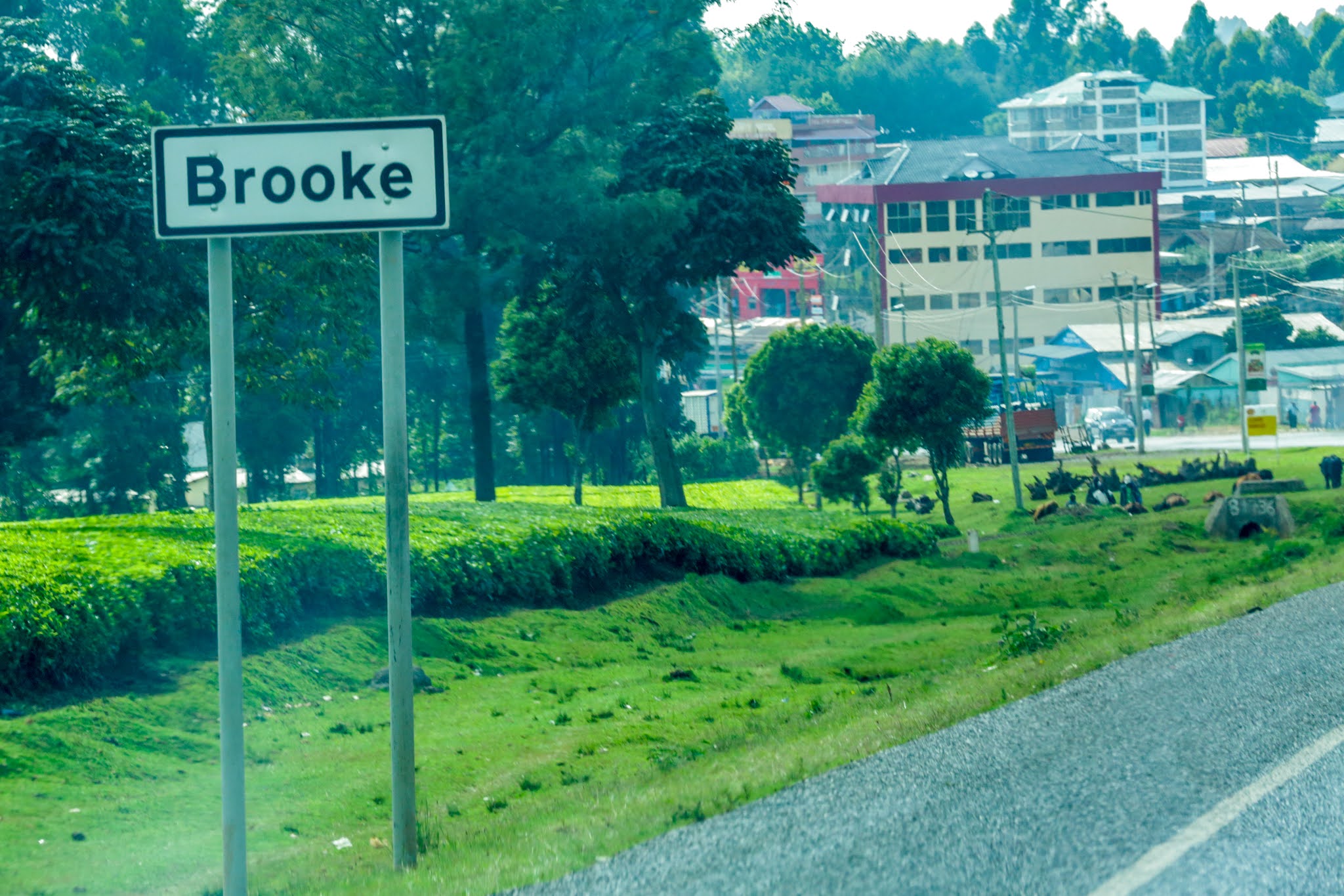 KERICHO THE GREEN TOWN