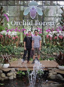 Orchid Forest