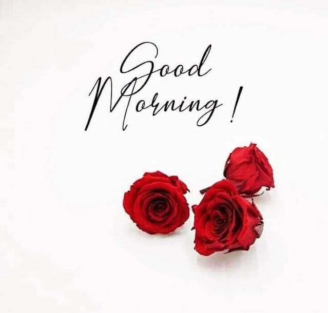 Good Morning Images For Whatsapp Good Morning Images For Whatsapp