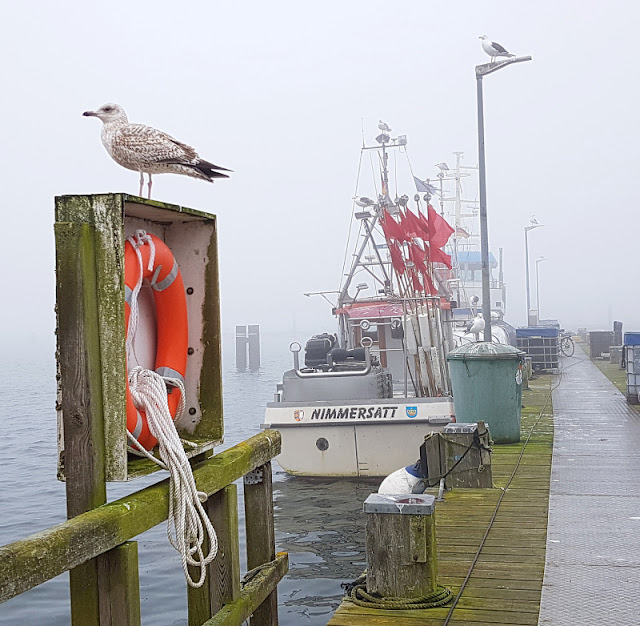 5 spannende Familien-Ausflüge auf Fehmarn im Winter. Ein Bummel durch den Hafen mit winterlicher Stimmung tut der Seele gut.